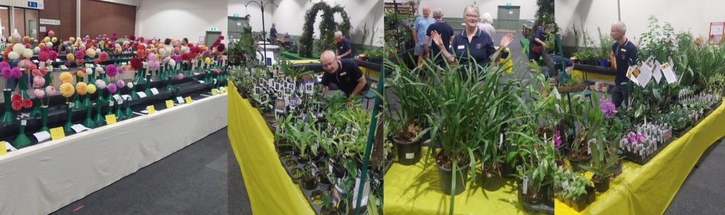 Horticultural Society of Canberra Autumn Flower Show - Orchid Sales