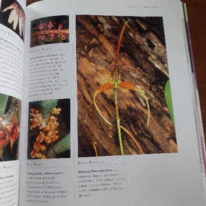 Orchid Book