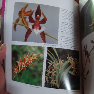 Orchid Book