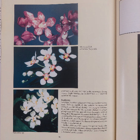 Growing Orchids in Australia - Terry Cook - Hard Back