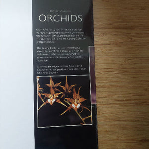 Booklet titled 'Orchids' with images of flowers on a wooden surface
