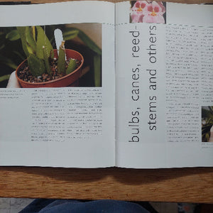 Open book with text and images of plants on a wooden surface