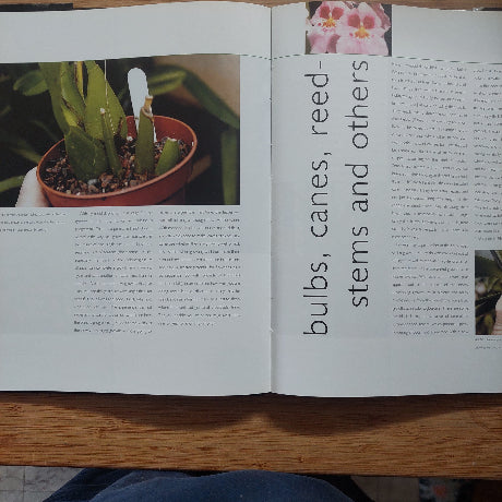 Open book with text and images of plants on a wooden surface