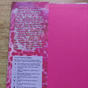 Pink book with text on a wooden surface
