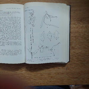 Open book with botanical illustrations on a wooden surface
