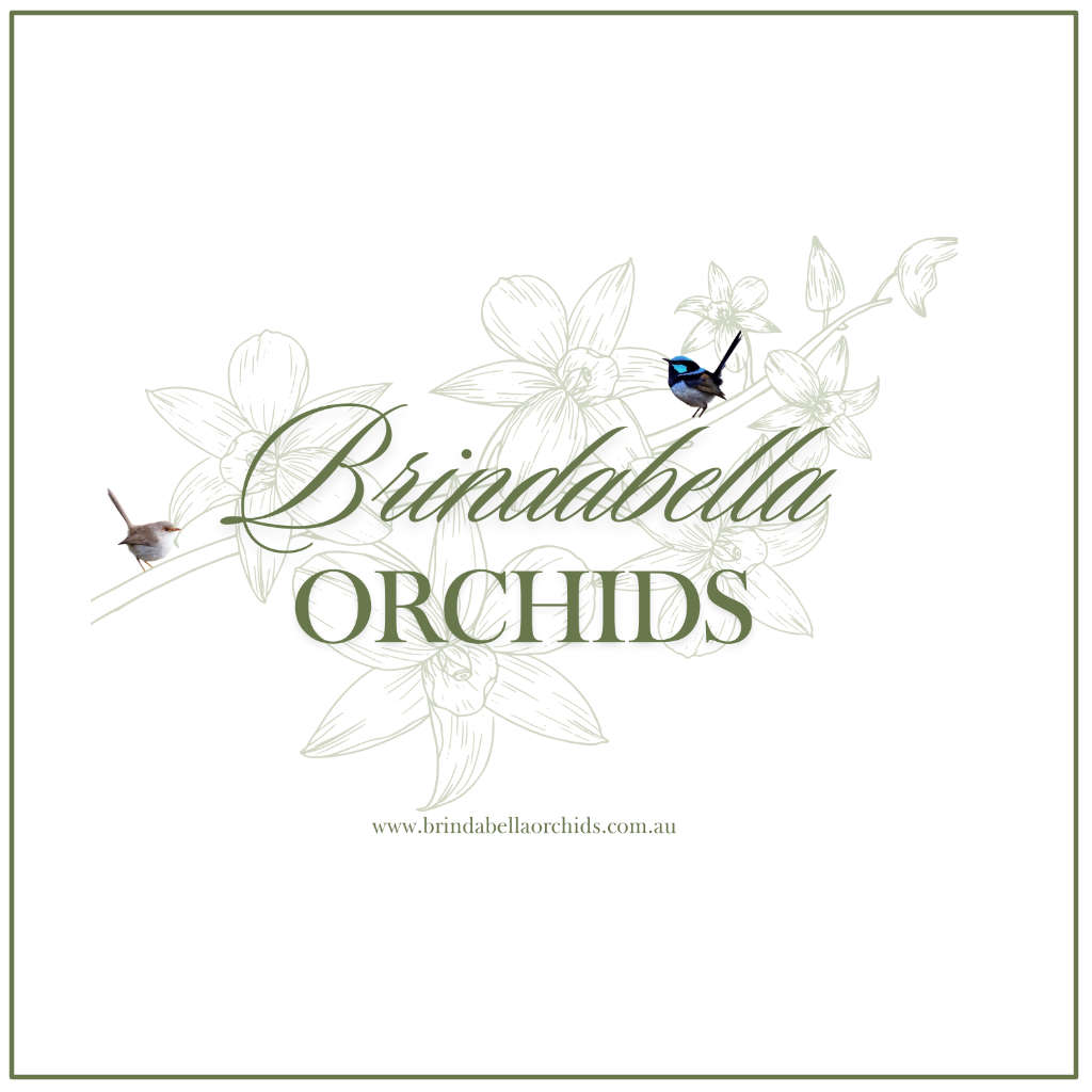 Brindabella Orchids online gift card