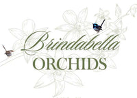 Brindabella Orchids logo