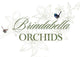 Brindabella Orchids logo